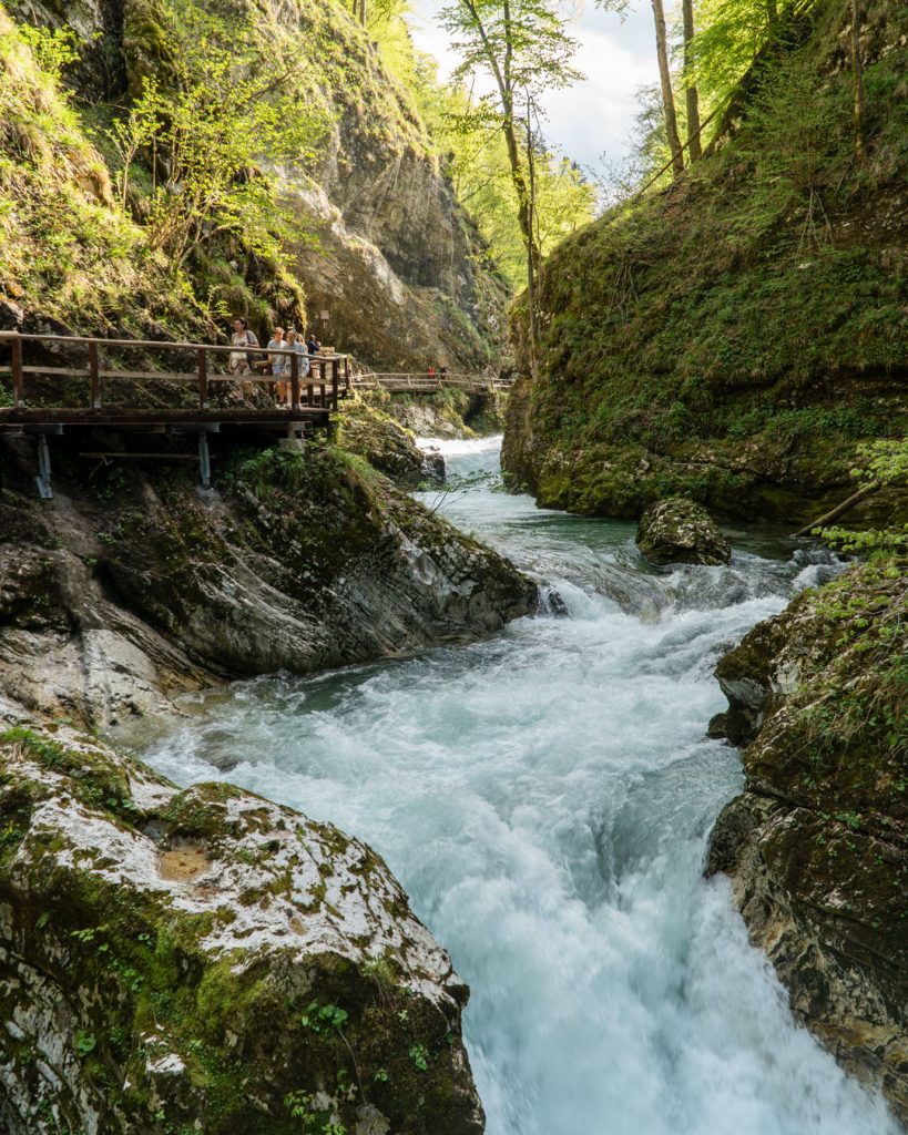 foto Slovenia Gola del Vintagar fiume
