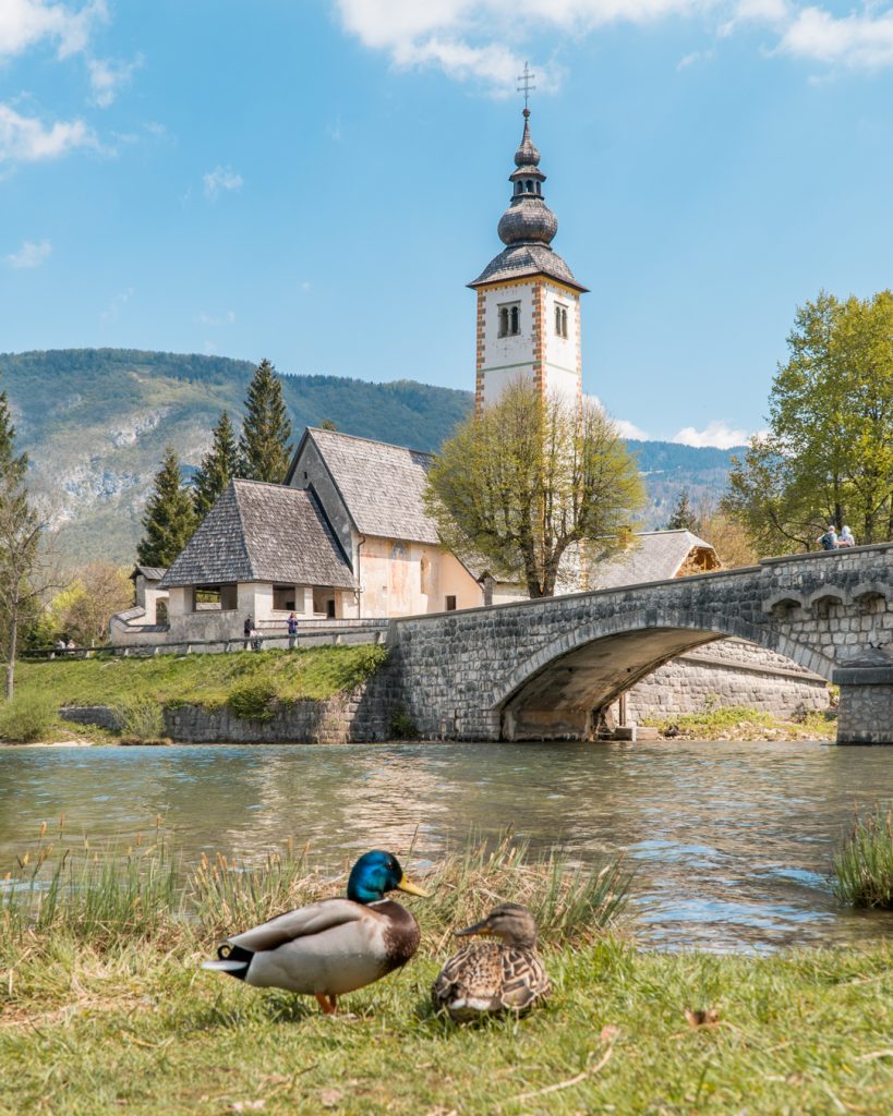 foto Slovenia lago Bohinj ponte papere