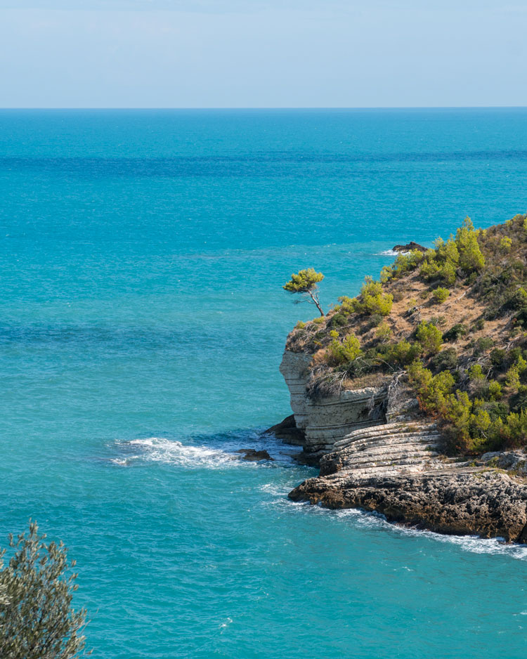 UN GIORNO SUL GARGANO