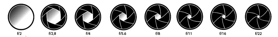 diaframma schema