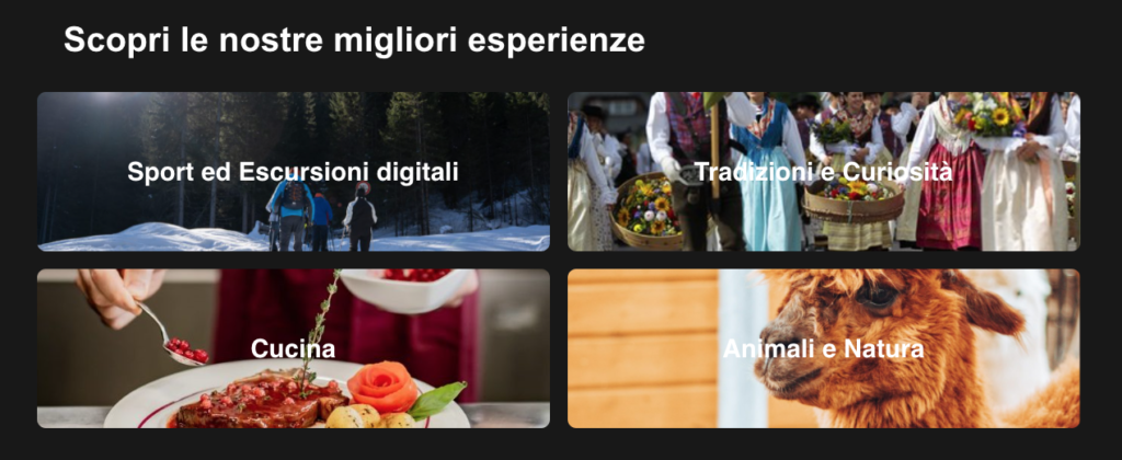 MYFassaPlus Experience