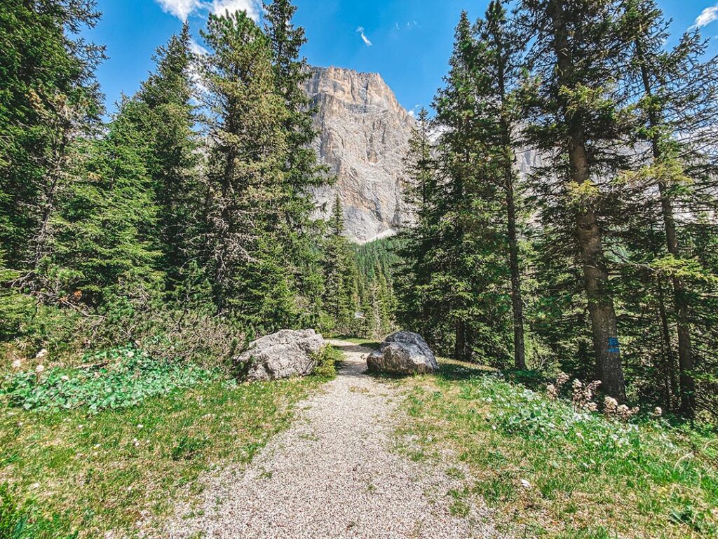 Sentiero delle Marmote val di fassa