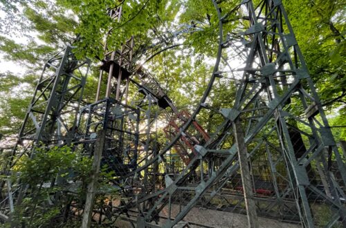 "parco divertimenti green"