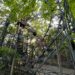 "parco divertimenti green"