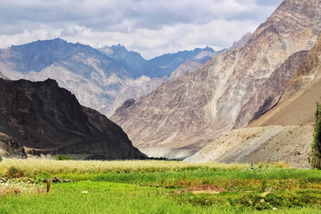 Paesaggio con montagne nel Ladakh